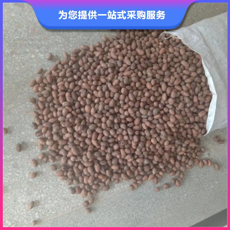 碧根果【無花果苗】源頭采購當地生產廠家
