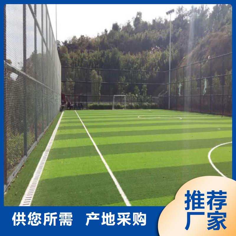 【人造草坪】高密度跑道一手貨源源頭廠家本地廠家