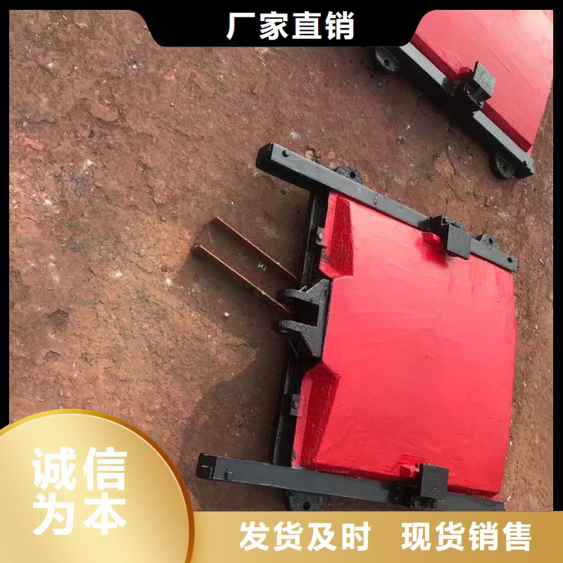 鑄鐵閘門-雙向鑄鐵鑲銅閘門免費安裝調試高品質誠信廠家