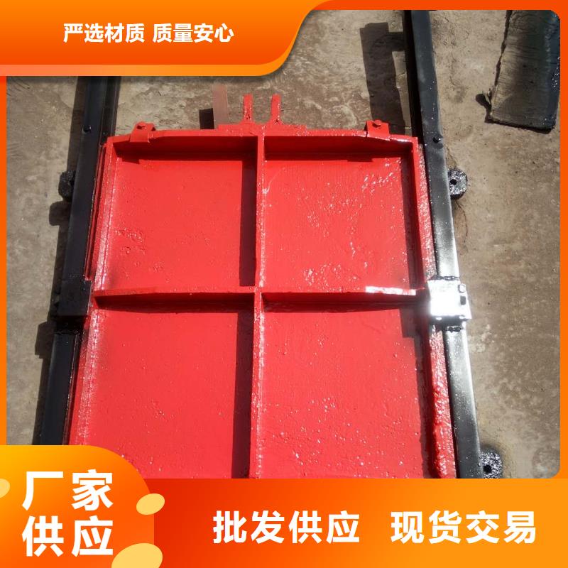 鑄鐵閘門-鑲銅雙向鑄鐵閘門智能同城供應商