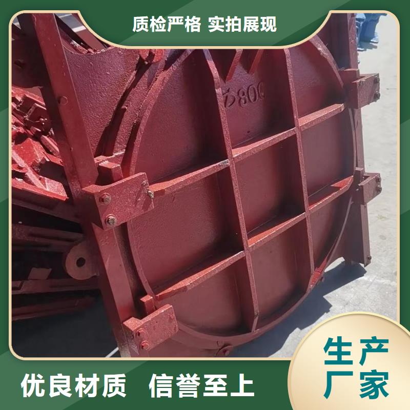 鑄鐵鑲銅閘門-螺桿式閘門啟閉機經驗豐富工廠價格