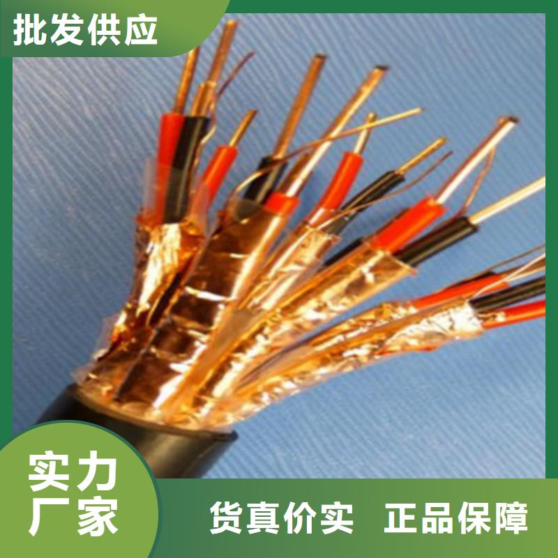計算機電纜屏蔽電纜工期短發貨快同城服務商