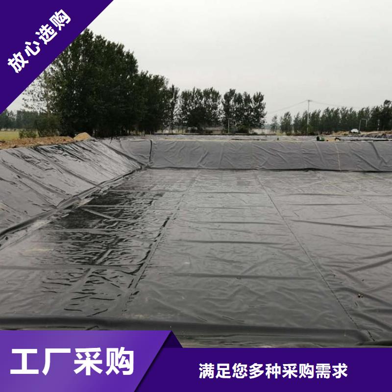 土工膜防滲膜可零售可批發(fā)本地供應(yīng)商
