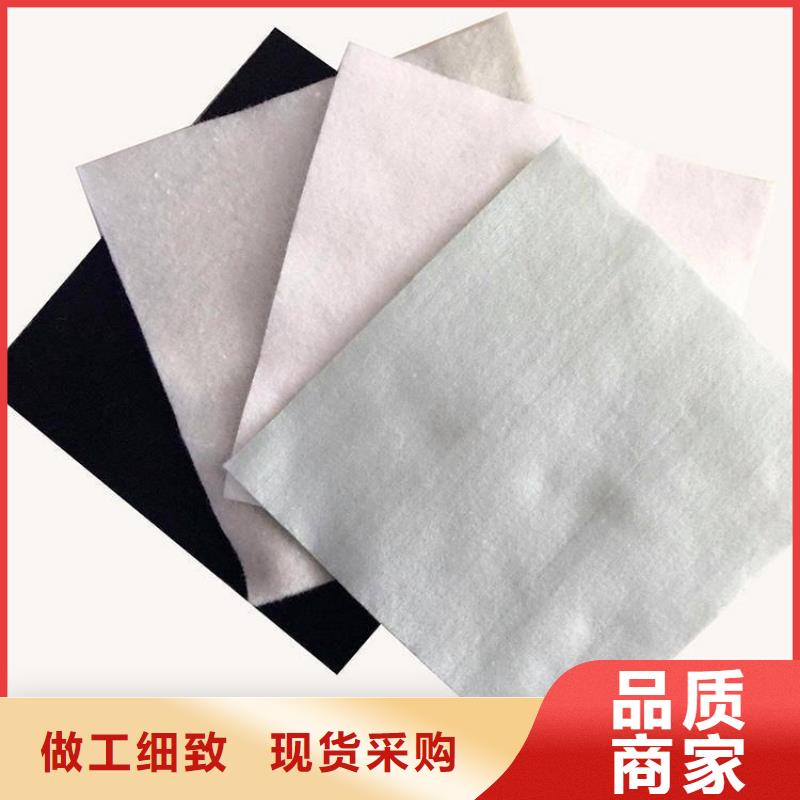 土工布HDPE土工膜大廠家實(shí)力看得見品牌企業(yè)