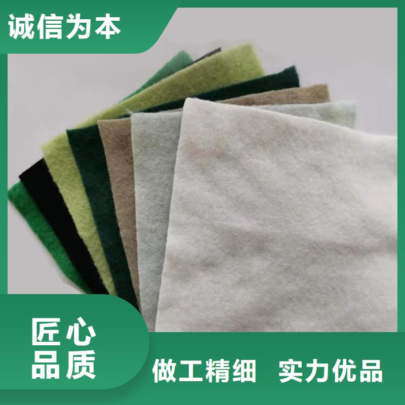 土工布【植草格】經(jīng)驗(yàn)豐富質(zhì)量放心廠家精選