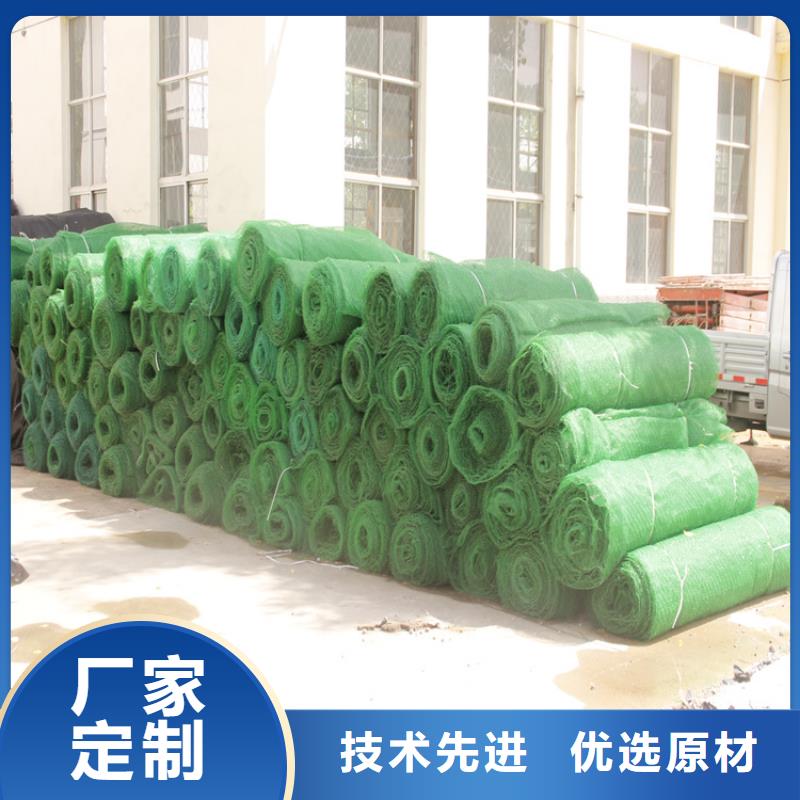 三維植被網【膨潤土防水毯】就近發貨規格齊全實力廠家