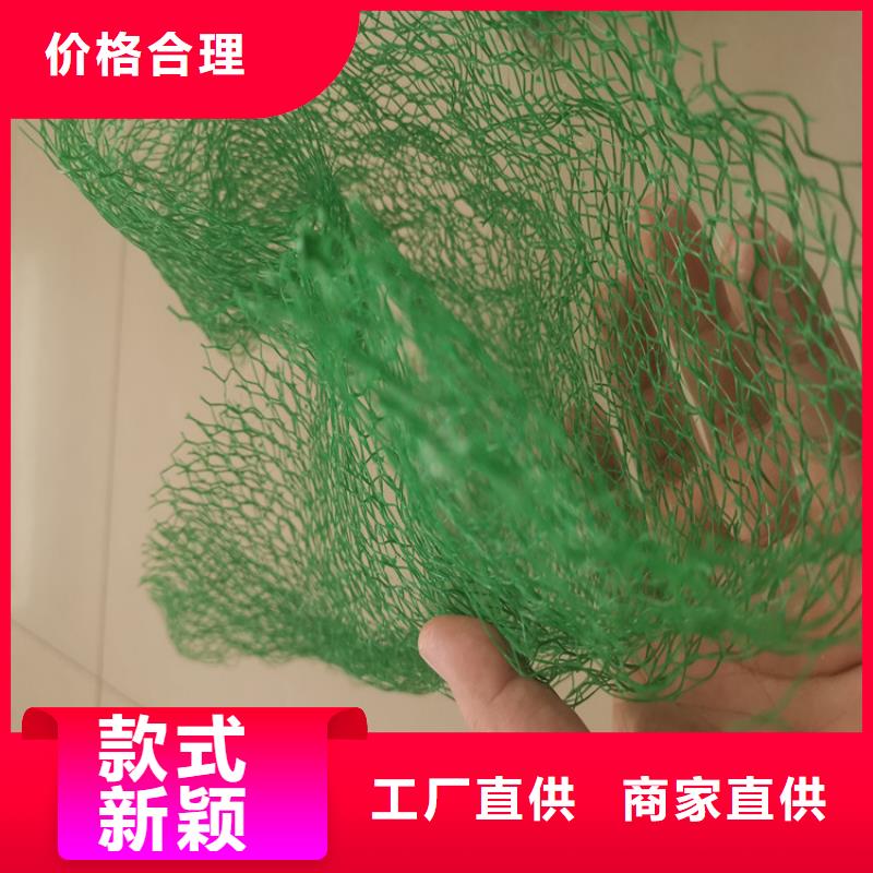 三维植被网防水板好货直销当地公司