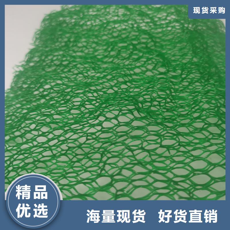 三維植被網【塑料排水板】超產品在細節廠家定制