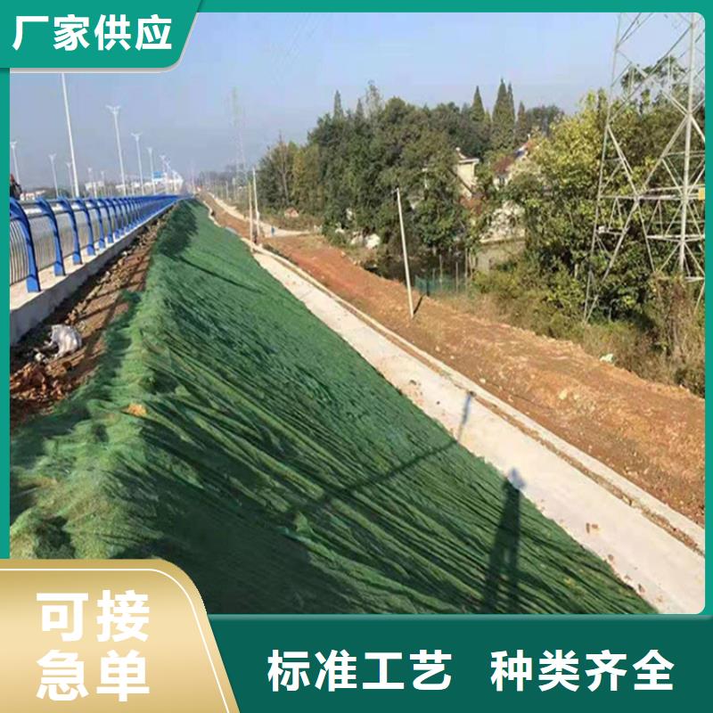 三維植被網(wǎng)防滲土工膜質(zhì)量可靠支持大小批量采購