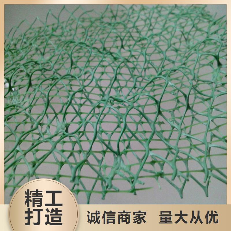三維植被網(wǎng)HDPE土工膜品質(zhì)優(yōu)選供應(yīng)采購