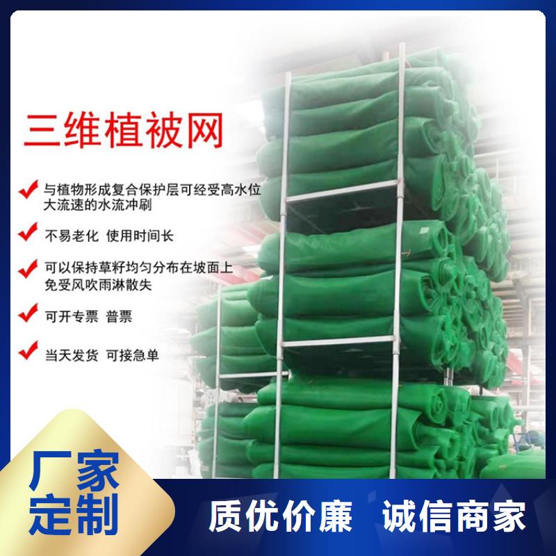三維植被網(wǎng),HDPE土工膜一手貨源選擇我們選擇放心