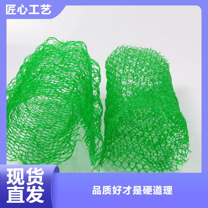 三維植被網保濕布市場行情大廠家實力看得見