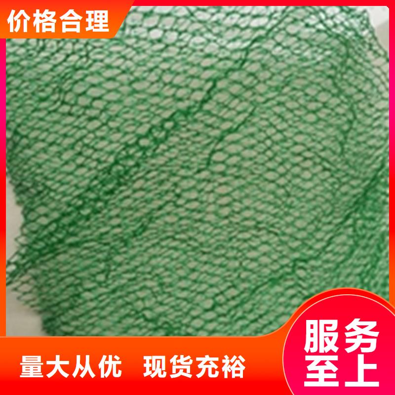 【三維植被網】,防滲膜廠家直銷直供本地貨源