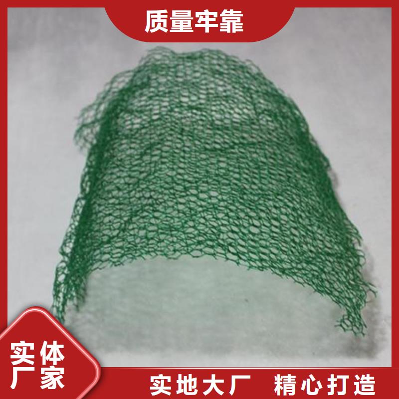 三維植被網_防滲膜源頭把關放心選購好貨直銷