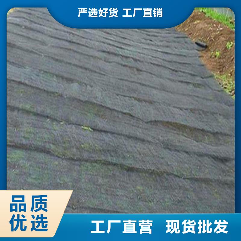 水土保護毯_HDPE土工膜免費回電交貨準時