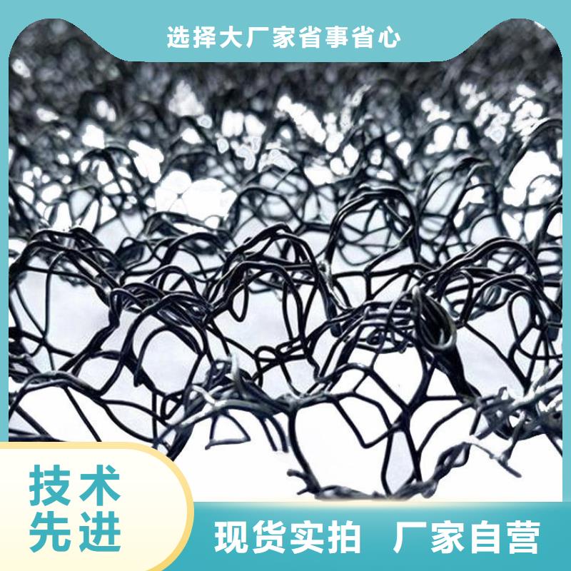 【水土保護(hù)毯】【植草格】支持大小批量采購本地制造商