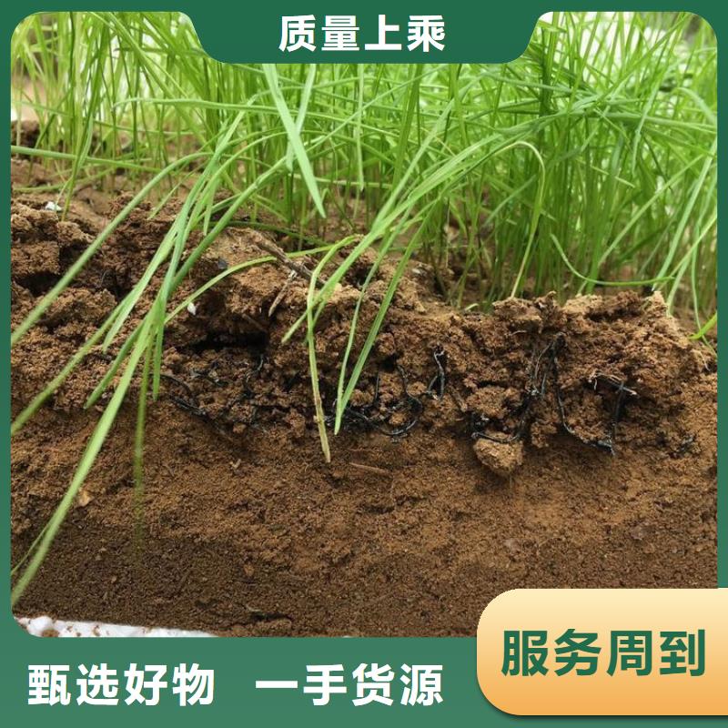 水土保護毯防水膜實力才是硬道理產地采購