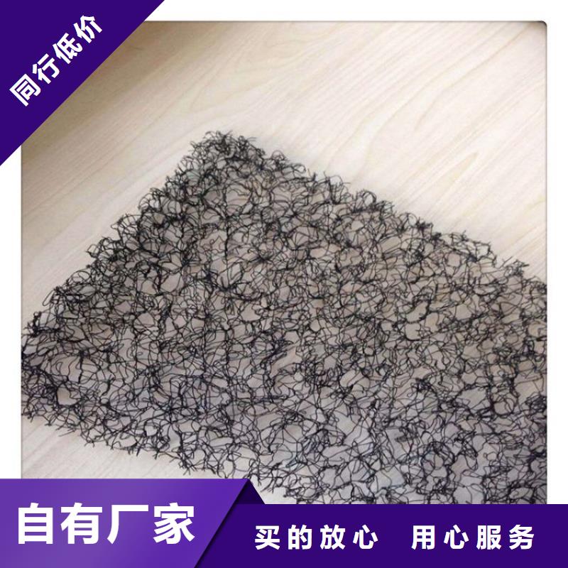 【水土保護(hù)毯】土工席品質(zhì)有保障豐富的行業(yè)經(jīng)驗(yàn)