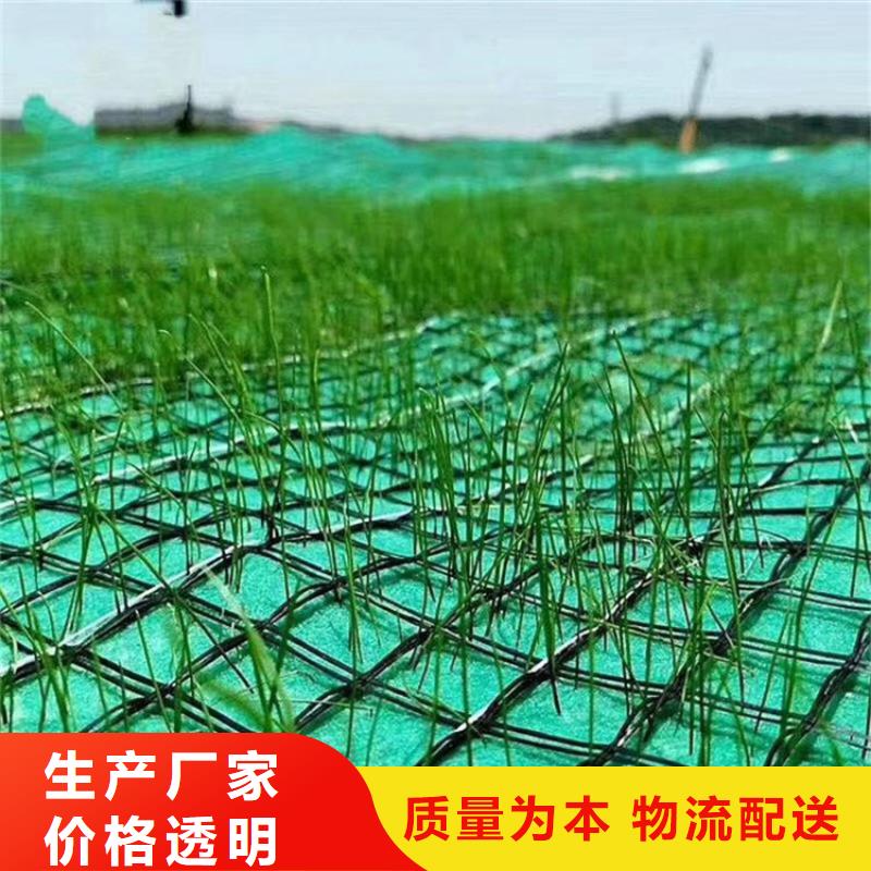 椰絲毯復合土工膜重信譽廠家品質(zhì)優(yōu)良