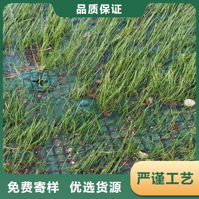 【椰絲毯塑料盲溝支持批發(fā)零售】豐富的行業(yè)經(jīng)驗(yàn)