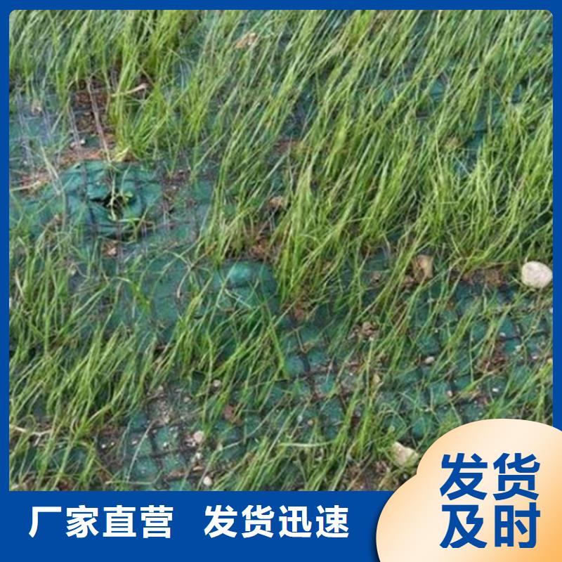 椰絲毯_土工膜優選原材現貨充足