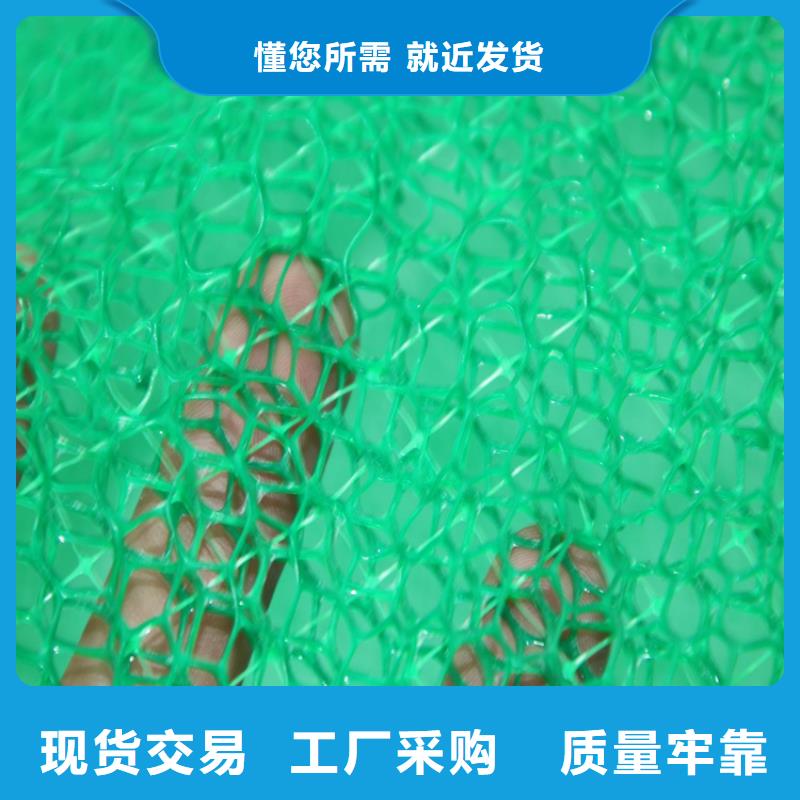 三維植被網_土工格柵實體廠家支持定制層層質檢