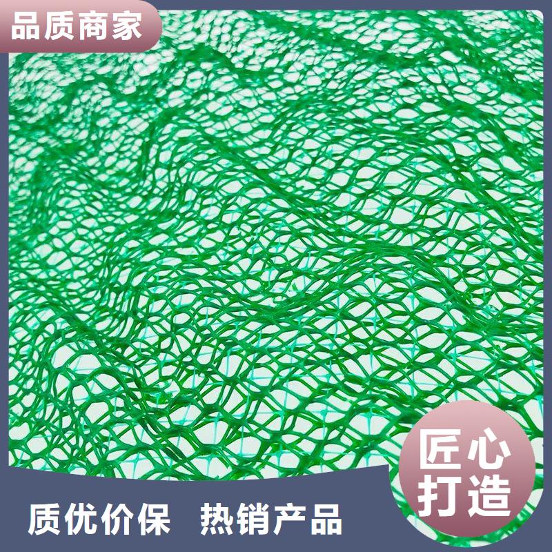 【三維植被網】_土工膜用品質說話本地經銷商