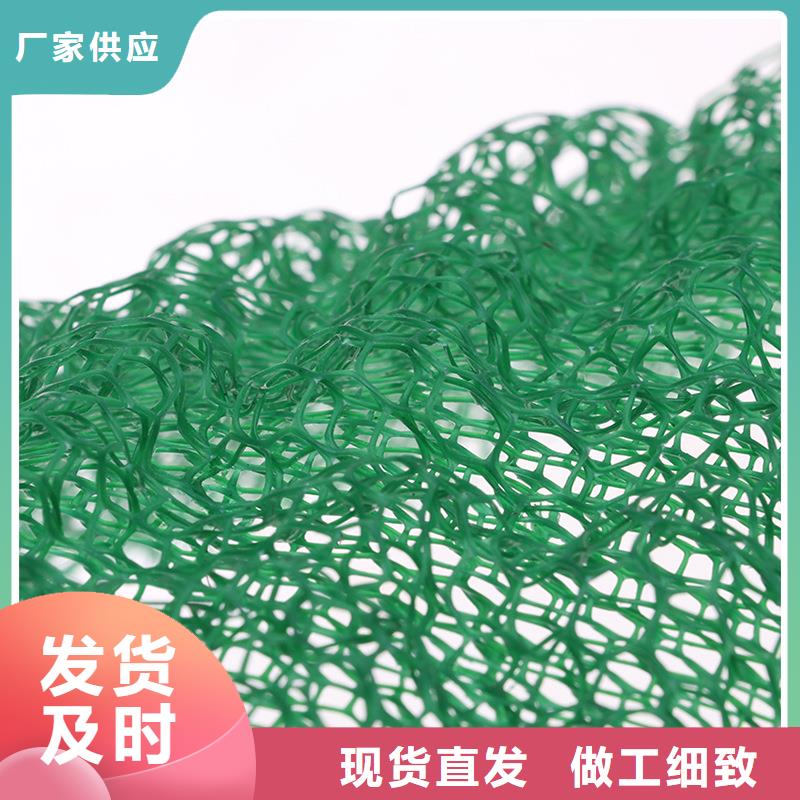 三維植被網,聚丙烯纖維廠家供應用心制造