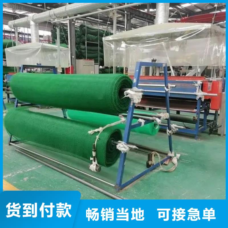 三維植被網(wǎng)銅片止水打造行業(yè)品質(zhì)同城供應(yīng)商
