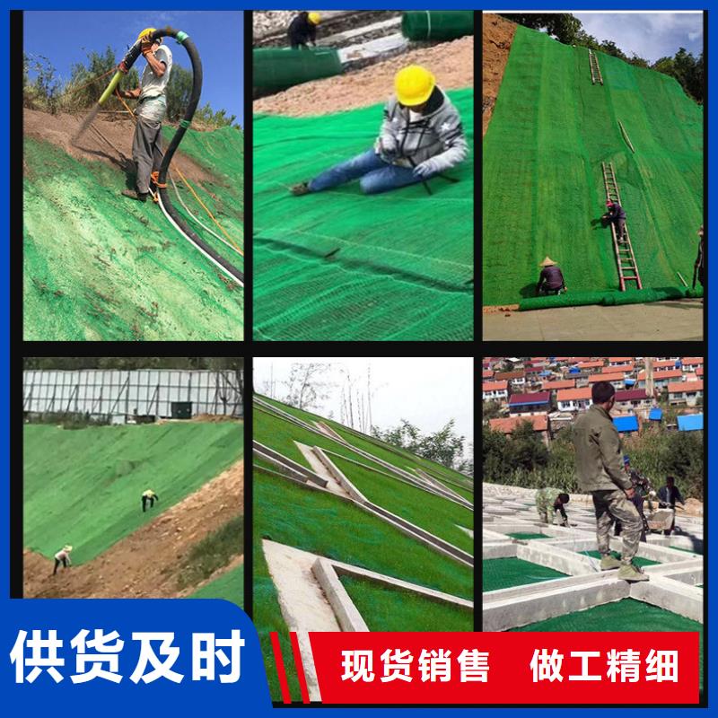 三維植被網(wǎng)土工格柵產(chǎn)品優(yōu)良按需設(shè)計