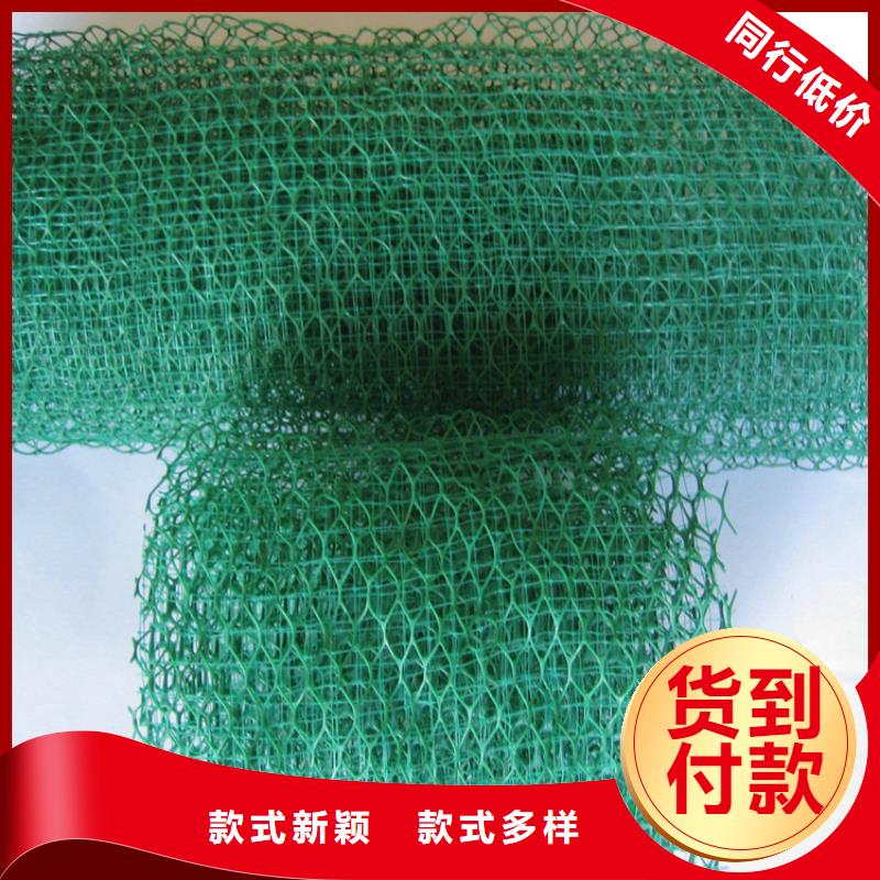 三維植被網聚丙烯單絲纖維海量庫存免費安裝