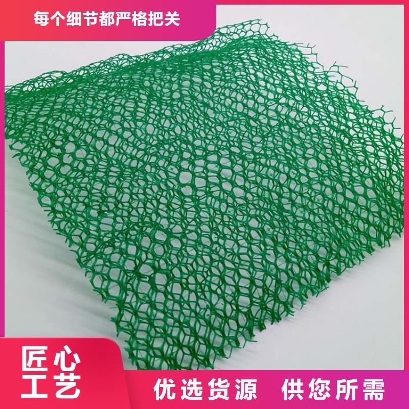 三維植被網-【銅止水】現貨滿足大量采購精心選材