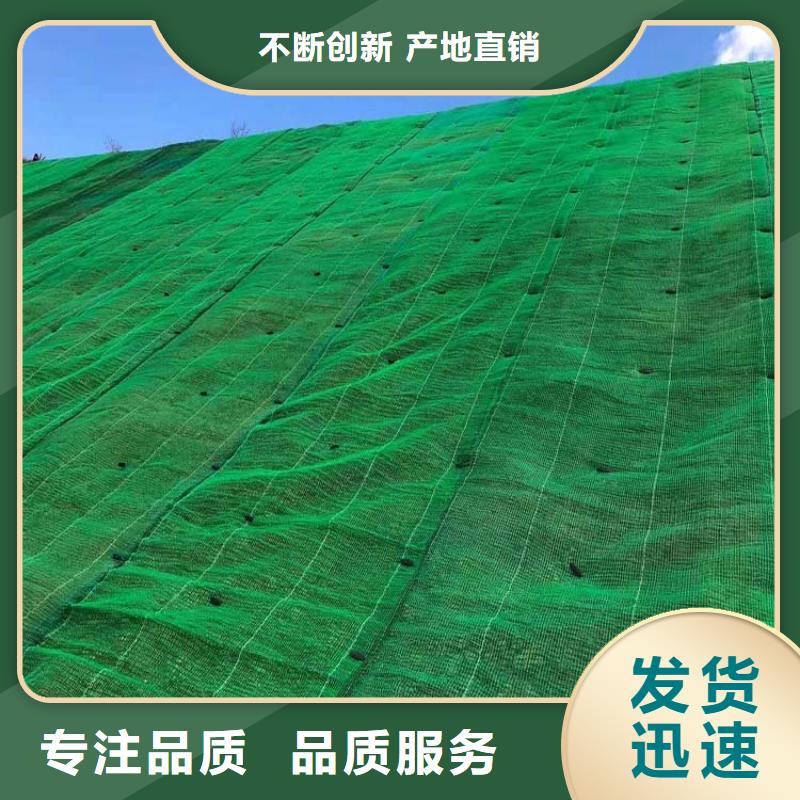 三維植被網-土工格柵現貨銷售專業生產N年