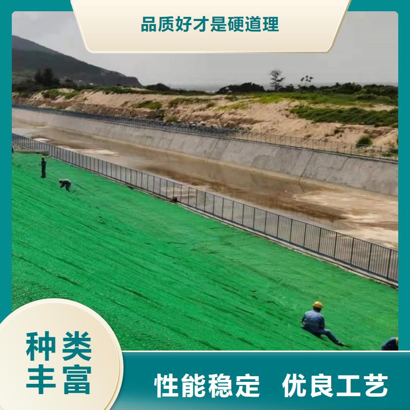 【三維植被網(wǎng)土工格柵品質(zhì)做服務(wù)】同城貨源