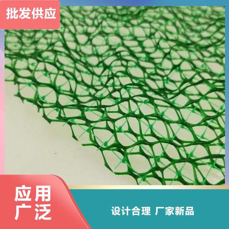 三維植被網_水平止水銅片專注生產N年質量牢靠