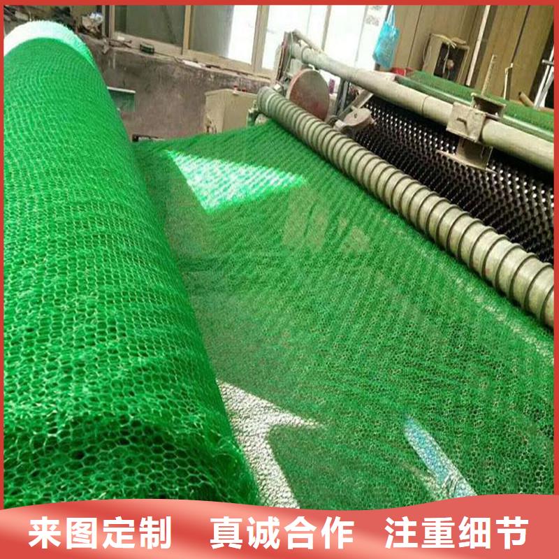 【三維植被網】剪切鋼纖維工廠認證準時交付