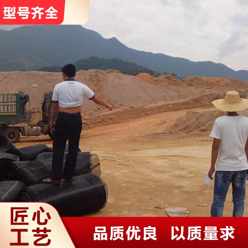 土工格柵螺旋形聚乙烯醇纖維用品質贏得客戶信賴廠家型號齊全