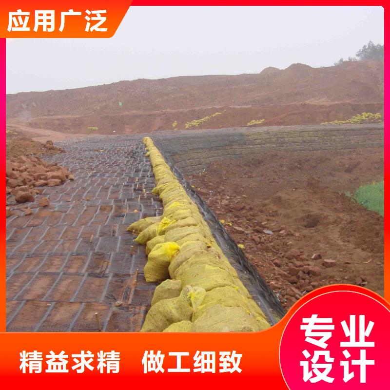 土工格柵,鋼纖維從源頭保證品質同城經銷商