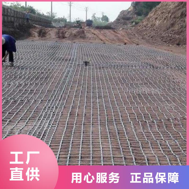 土工格柵聚丙烯單絲纖維誠信為本本地貨源