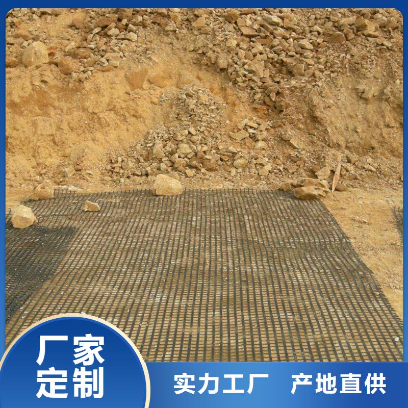 土工格柵土工膜實體誠信廠家貨到付款