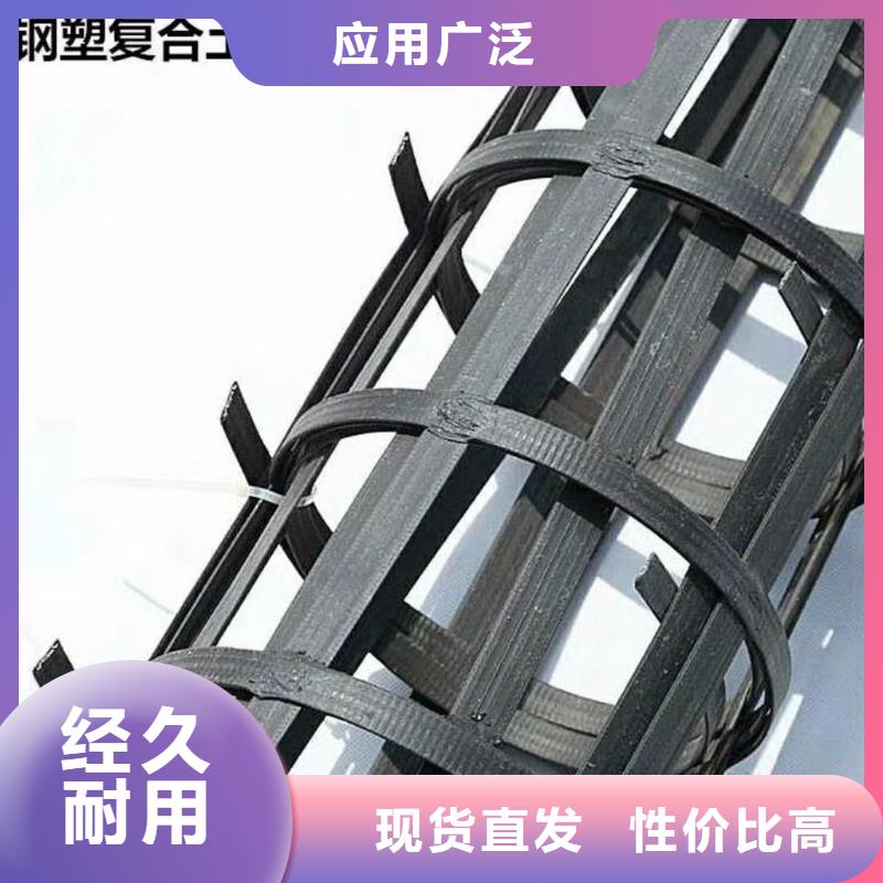 鋼塑土工格柵型號質量可靠價格專注生產N年
