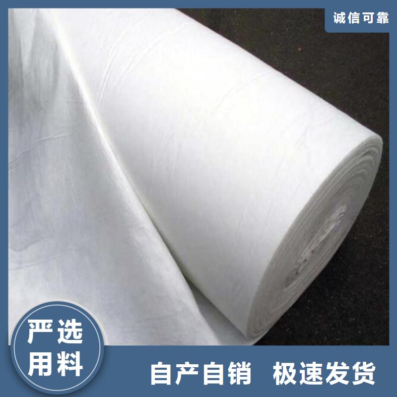 土工布,土工席墊生產安裝當地生產廠家