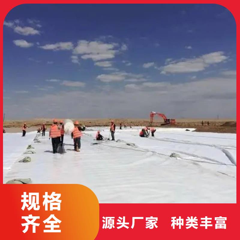 土工布_銅止水生產(chǎn)廠家精益求精來圖來樣定制
