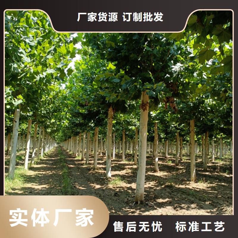 法桐_截桿發帽質量檢測現貨批發