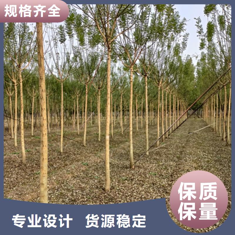 法桐櫻花信譽有保證同城制造商