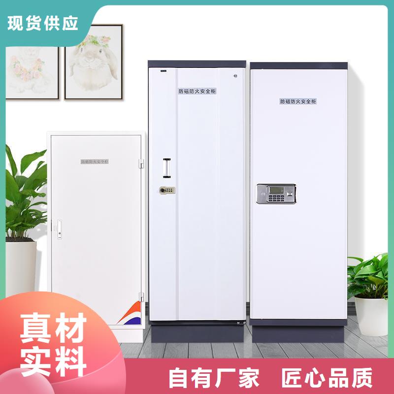 防磁柜-【檔案柜廠家】豐富的行業經驗本地服務商