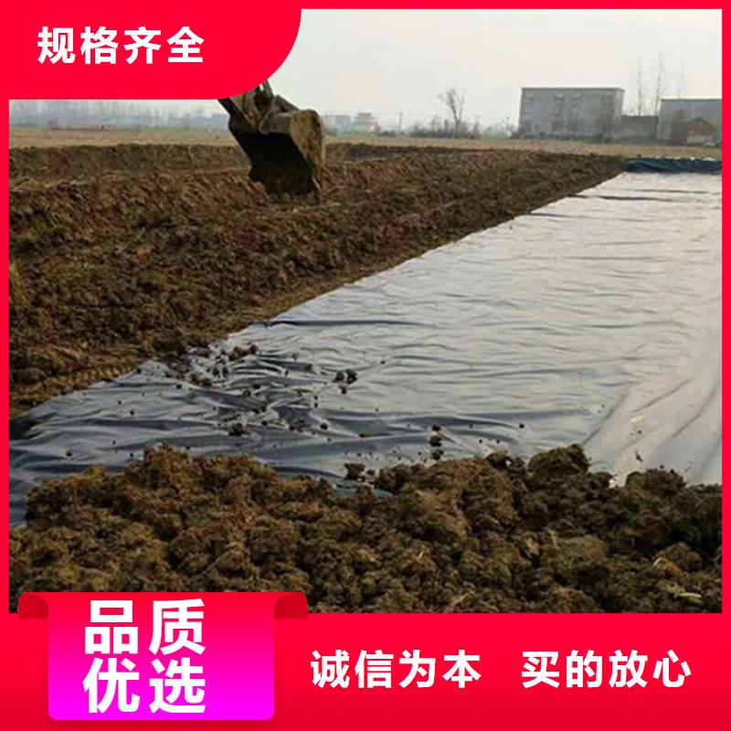 土工膜雙向土工格柵拒絕中間商本地服務商