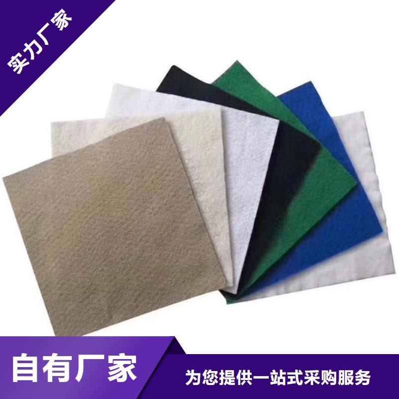 【土工布】土工格柵廠家實力大采購
