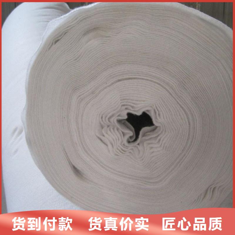 土工布土工膜真正的源頭廠家源頭實(shí)體廠商