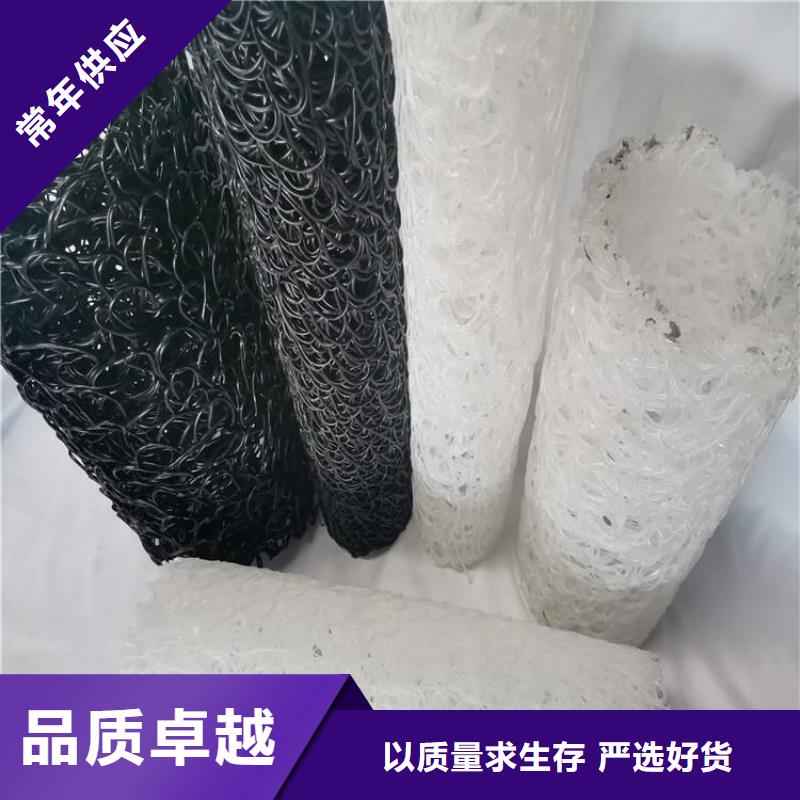塑料盲溝土工膜專業(yè)設(shè)計(jì)廠家精選